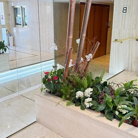 Basse Californie Cannes